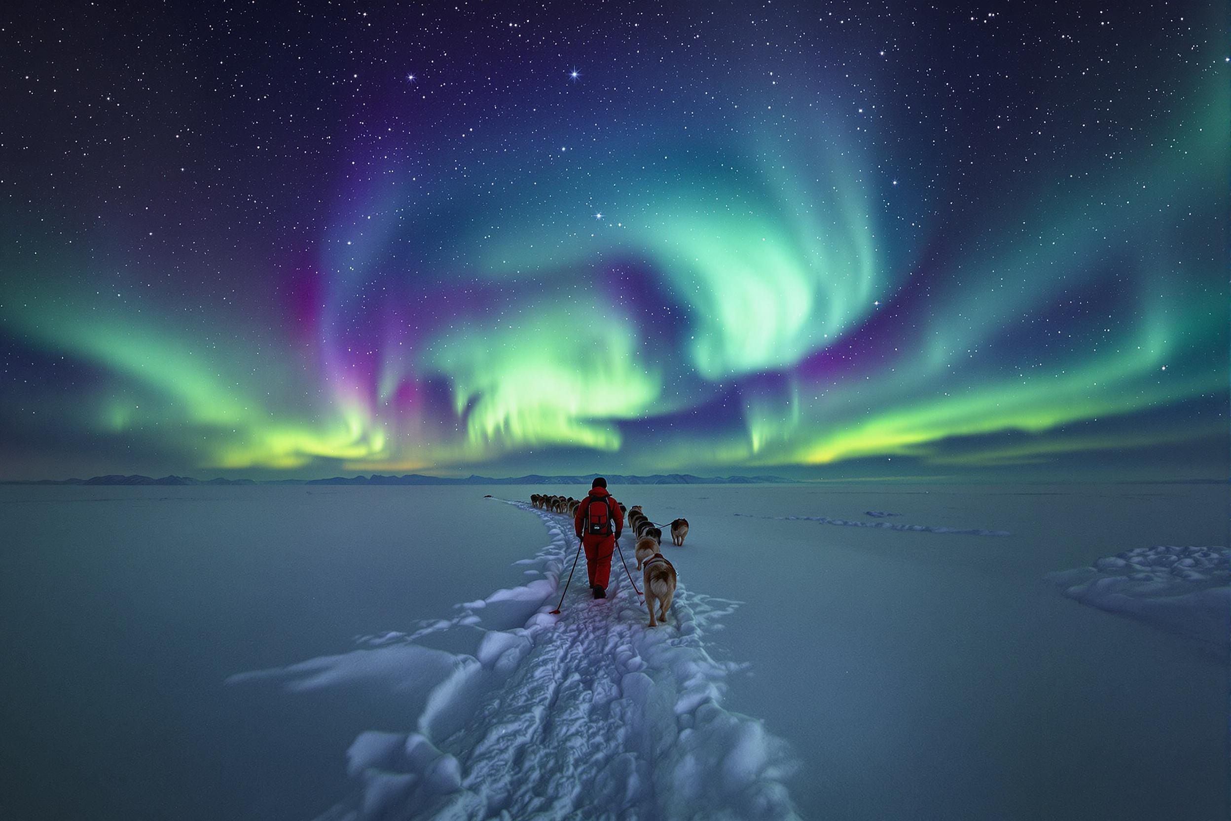 Auroral Arctic Trek With Sled Dogs