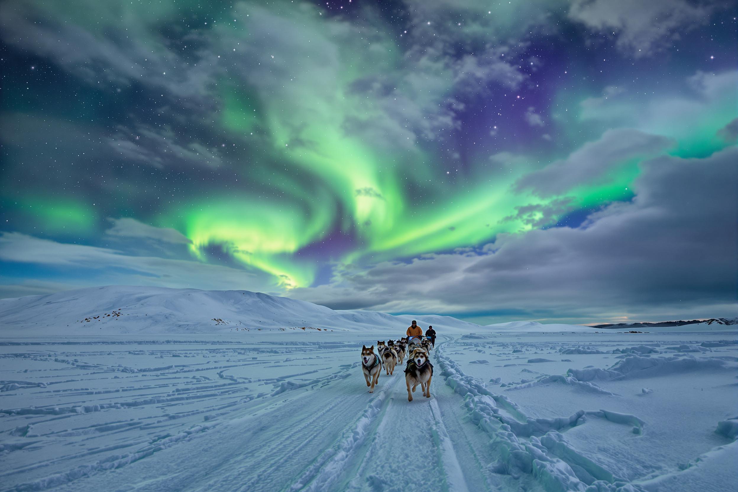 Musher Leads Dog Sled Beneath Northern Lights