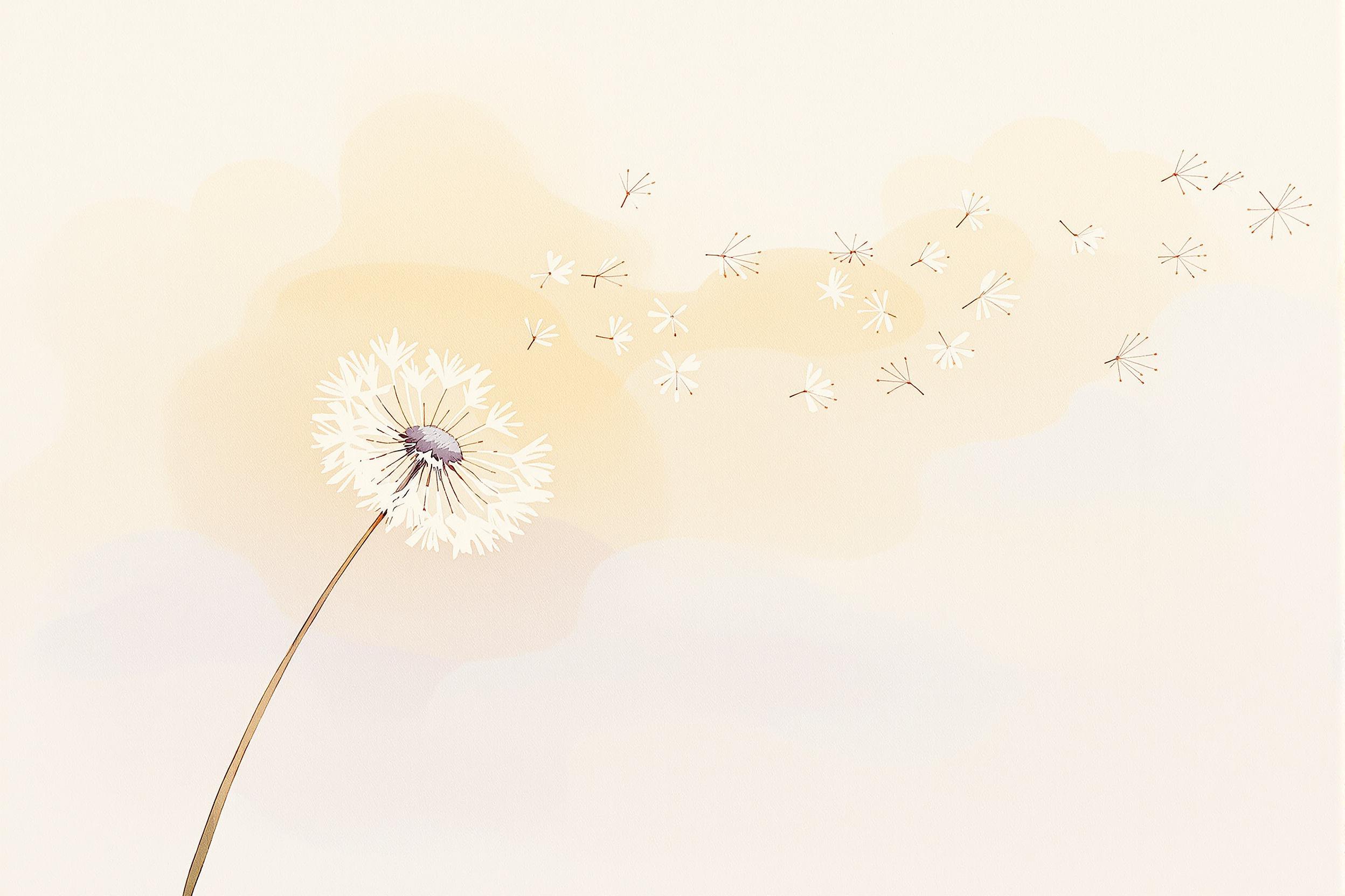 Dandelion Seed Drift in Gentle Breeze