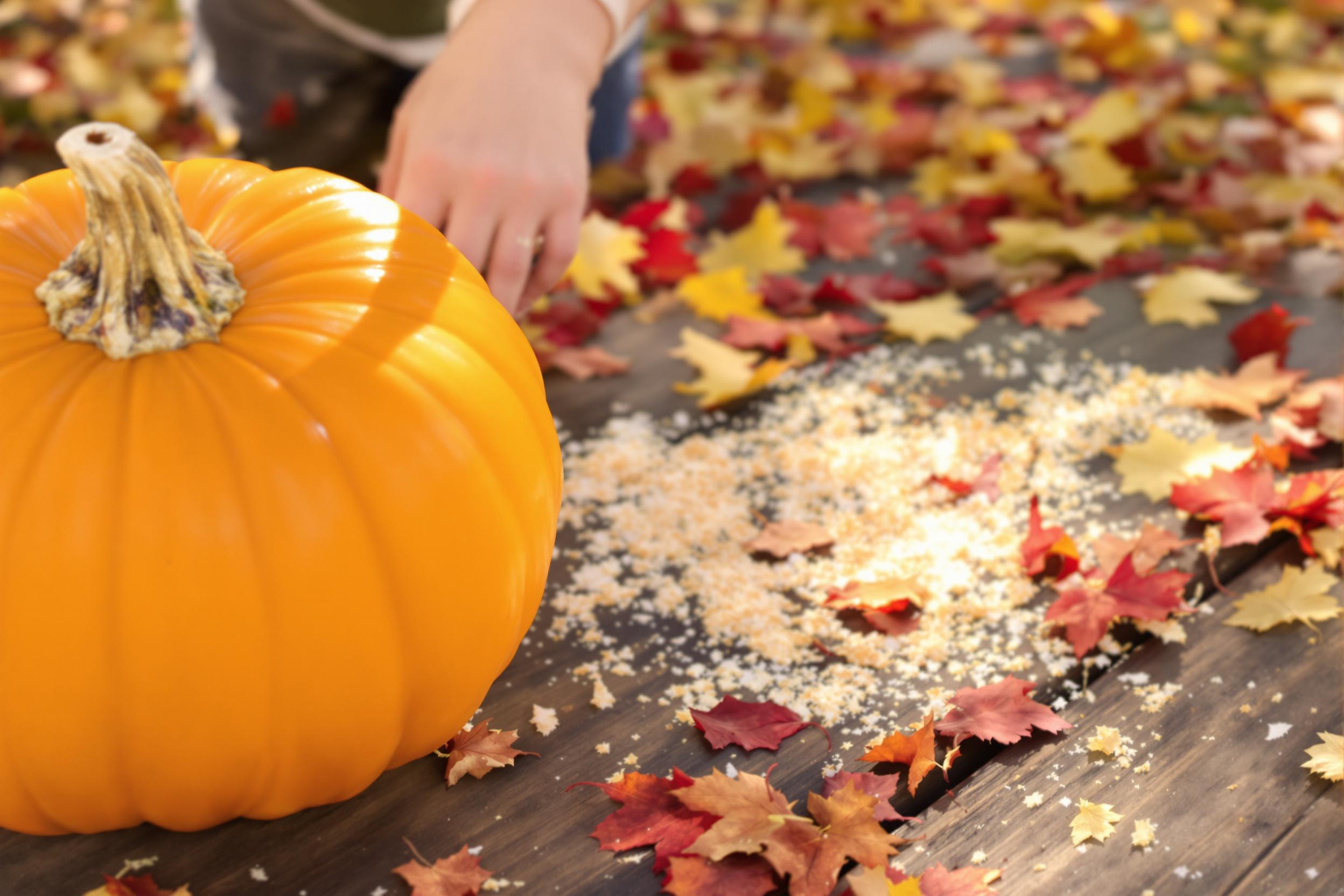 Carving Pumpkins Amidst Autumn Leaves