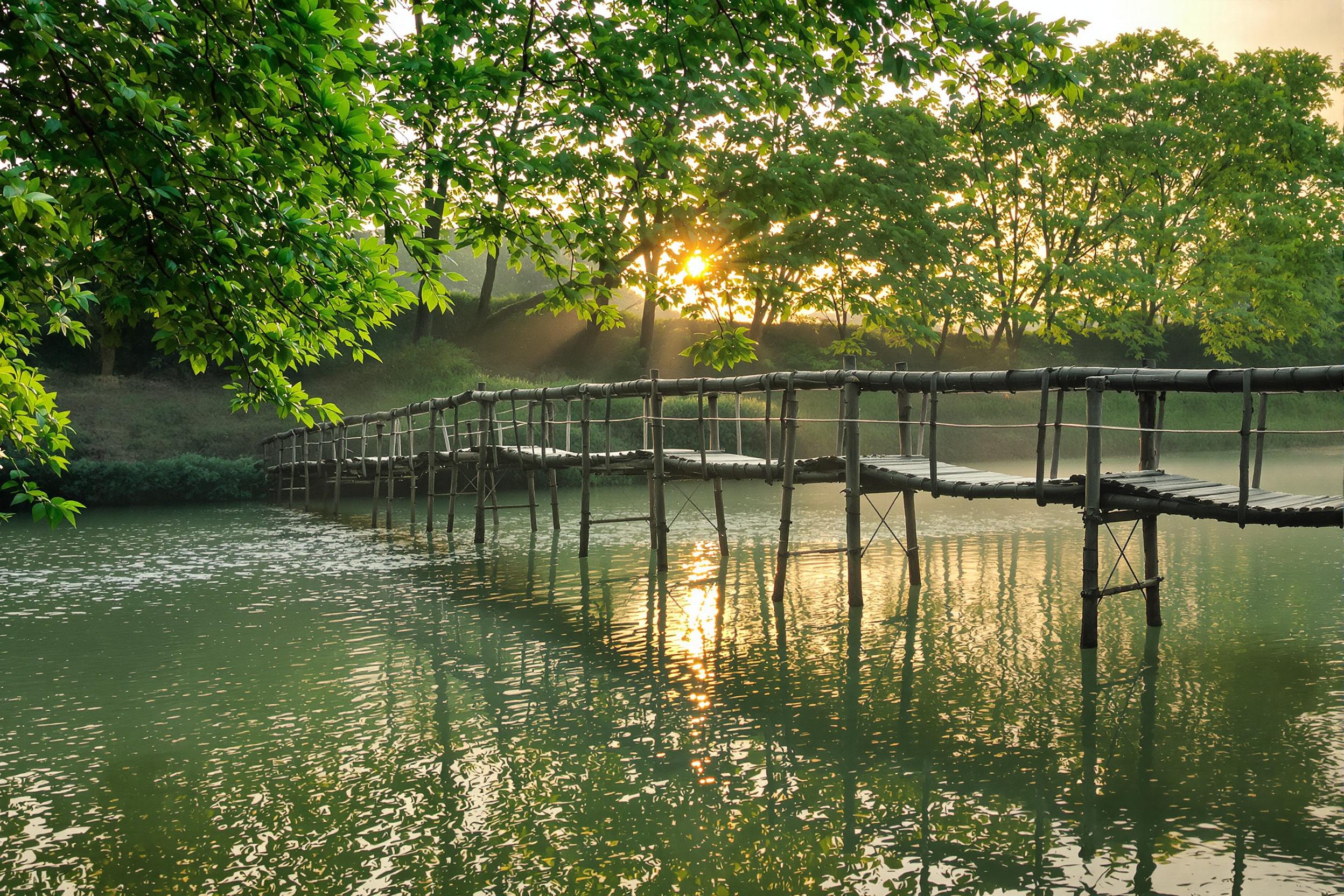A delicate bamboo bridge spans a tranquil river surrounded by lush greenery. Golden dawn light pierces through faint morning mist, illuminating small ripples across the reflective river surface. The perspective leads into dense treetops on the horizon, blending naturally with the rural charm. Subtle reflections add depth to the scene.