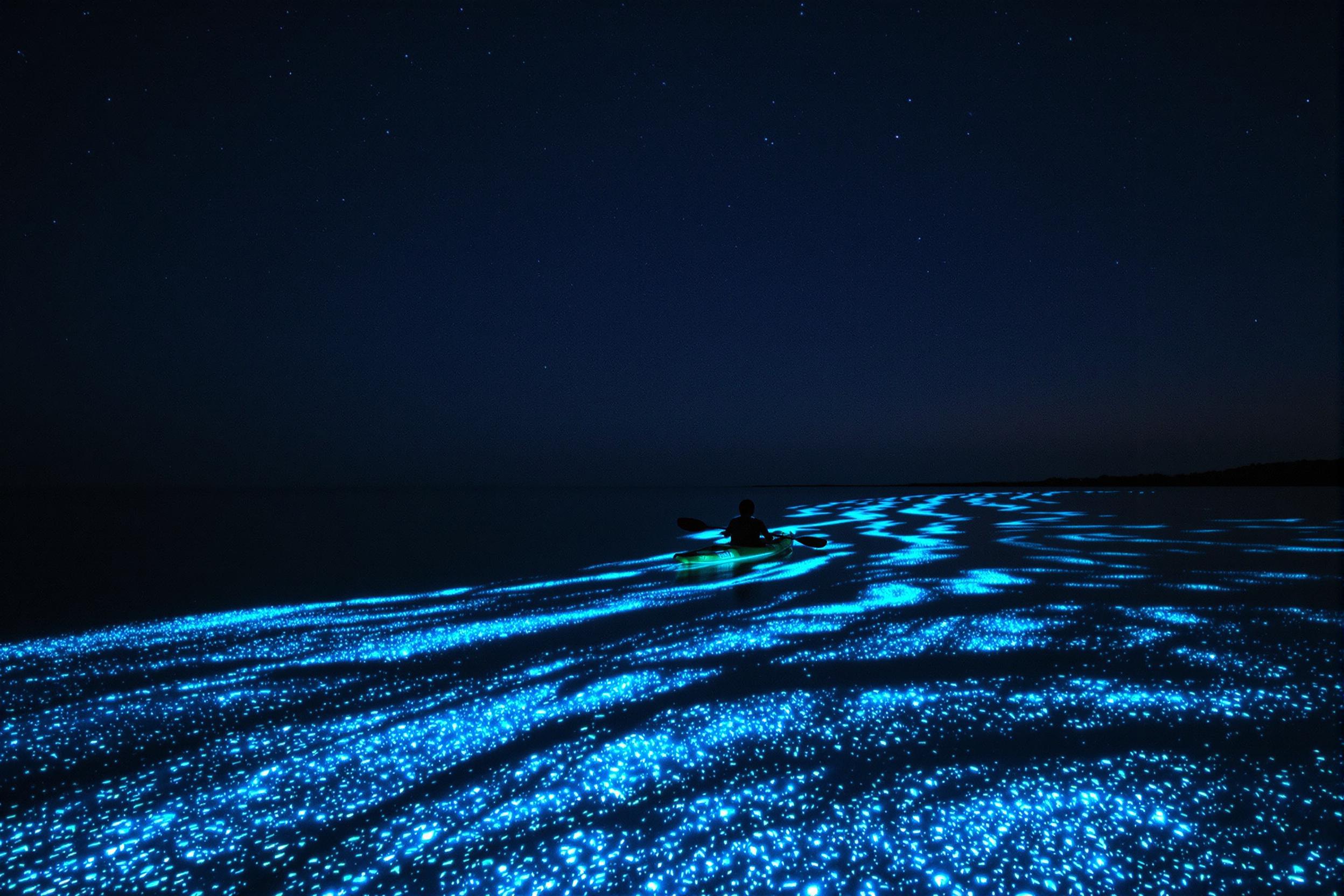 Kayaking Through Bioluminescent Waters at Night