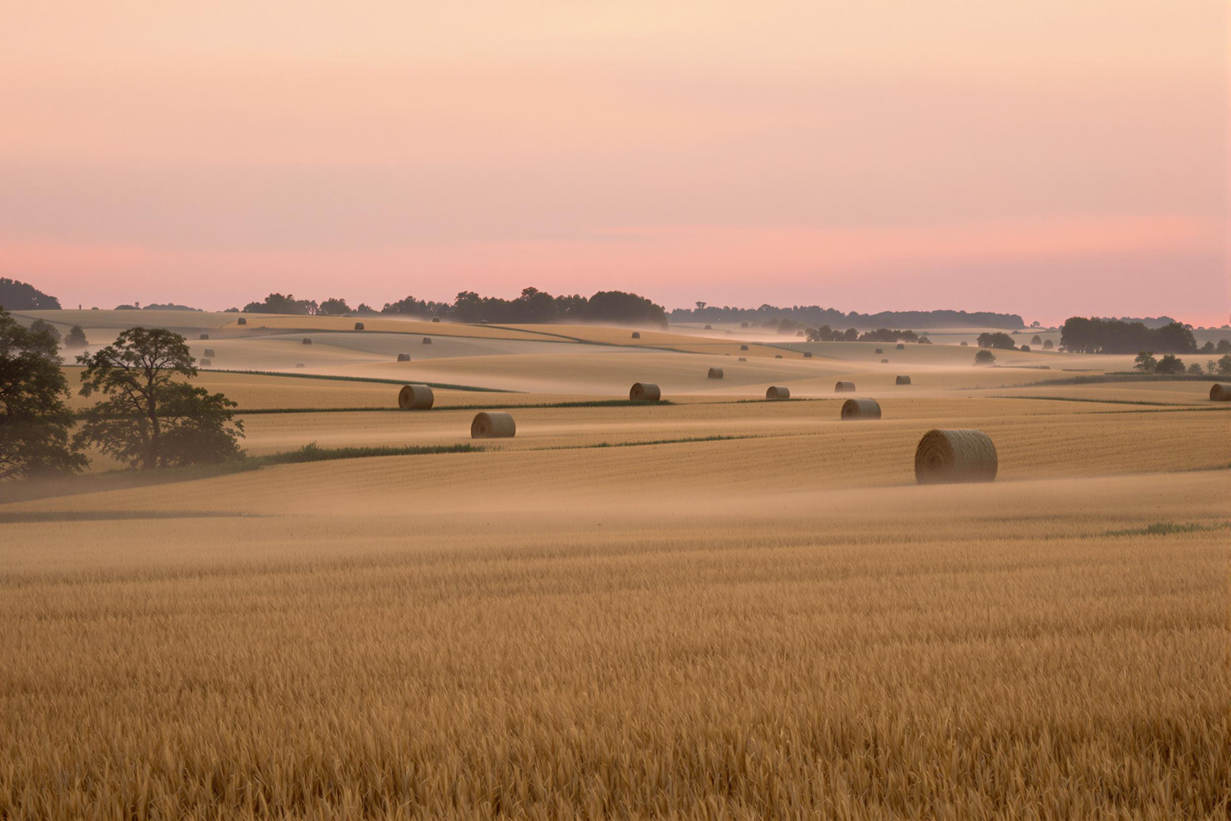 Tranquil Dawn Over a Serene Farm Landscape