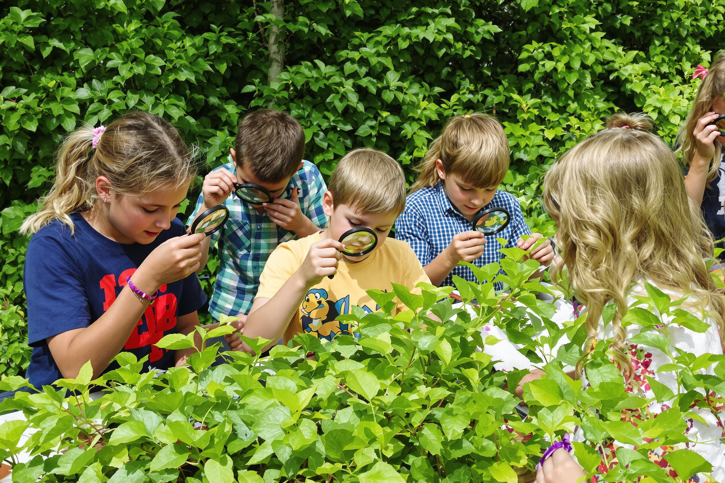 Outdoor Nature-Based Learning Experience