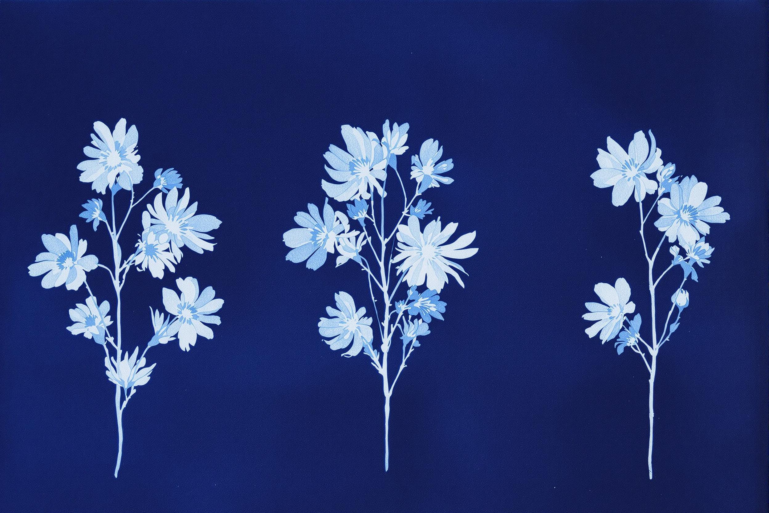 Experimental Cyanotype Botanicals on Textured Paper