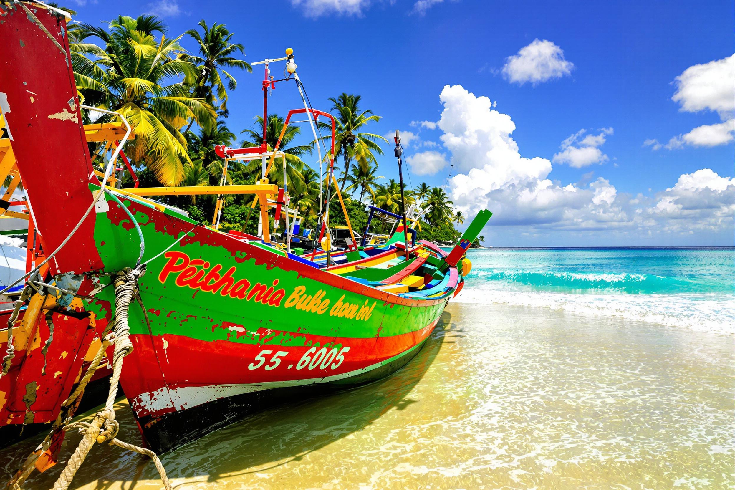 Colorful Fishing Boats on a Tropical Shoreline