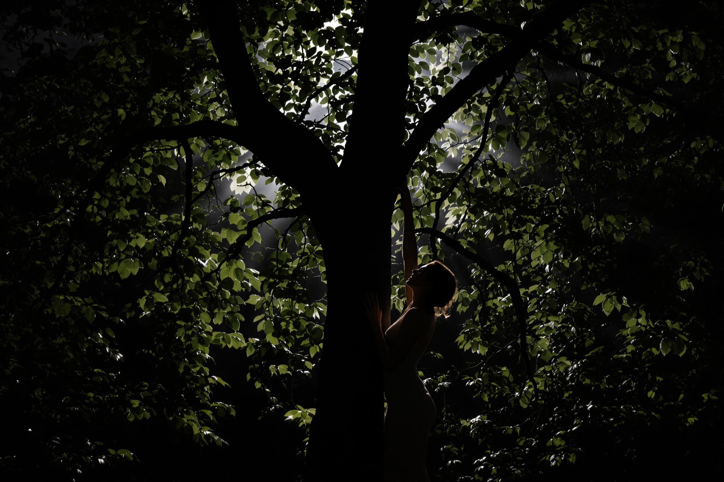 Moonlit Forest Bathing: Nocturnal Wellness Retreat