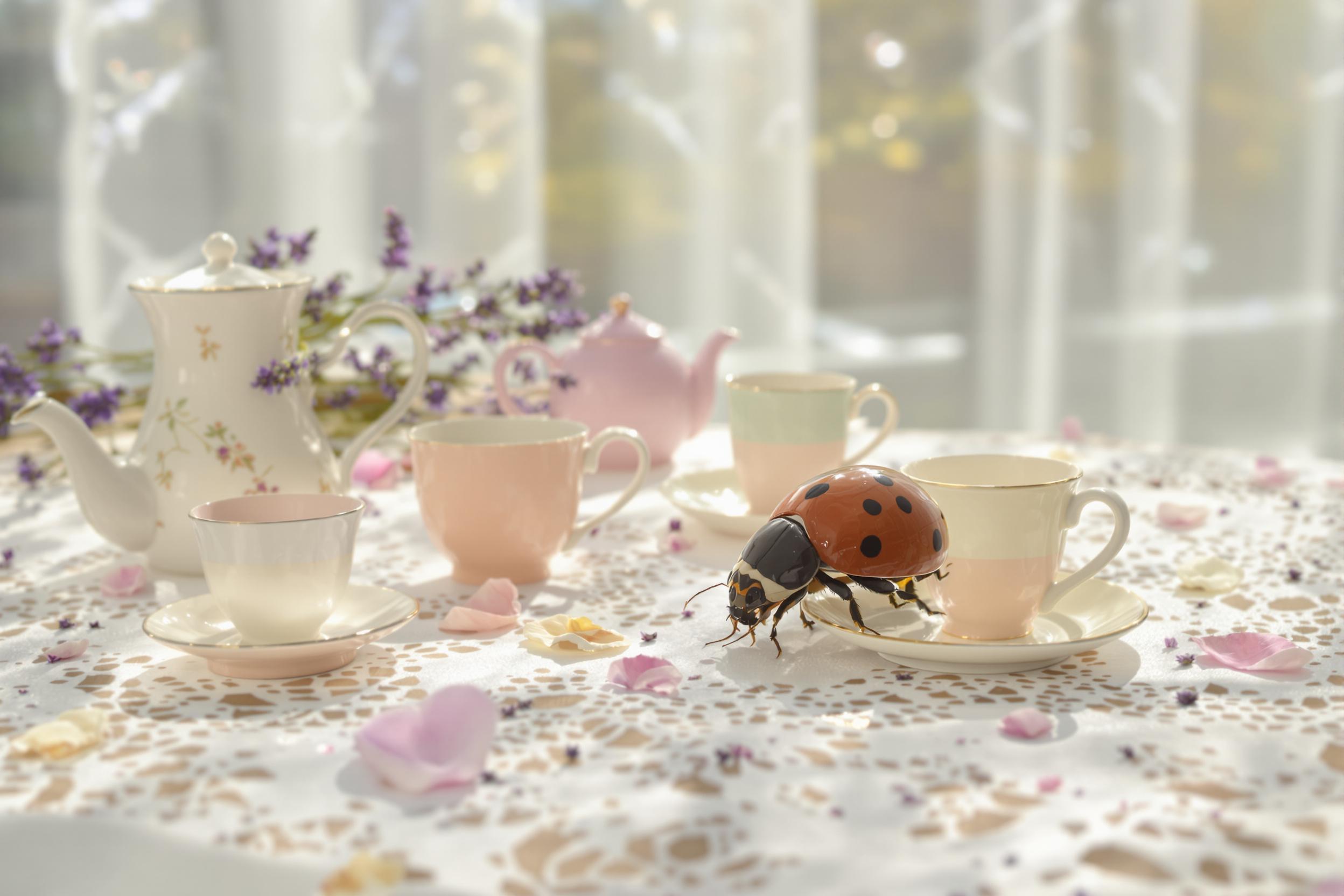 Dainty Ladybug Exploring Pastel Teacups