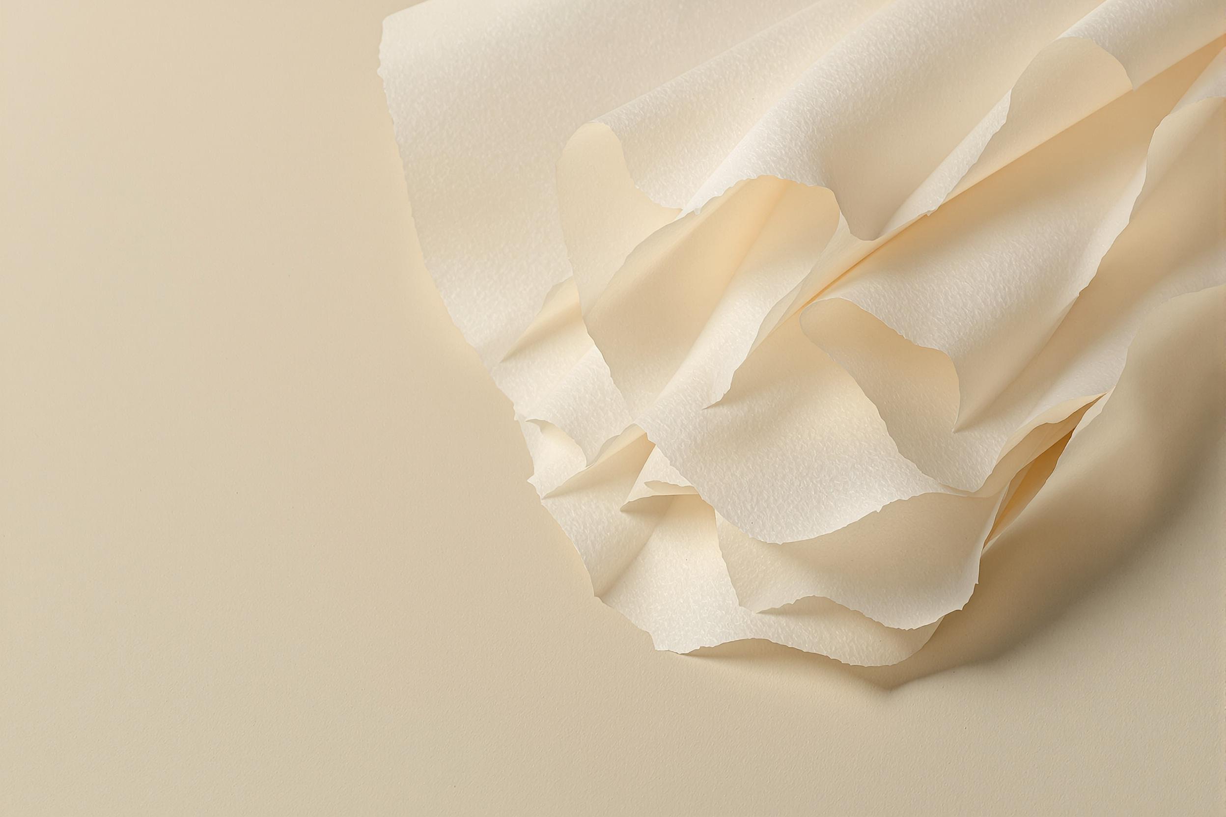 Layered Parchment Sheets with Textured Edges