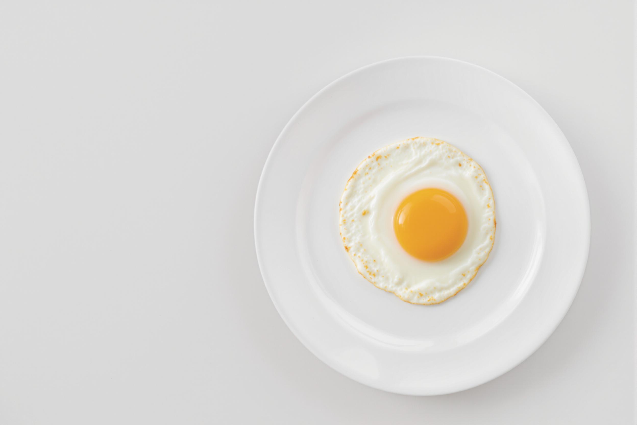 Minimalist Breakfast: Single Fried Egg on White Plate