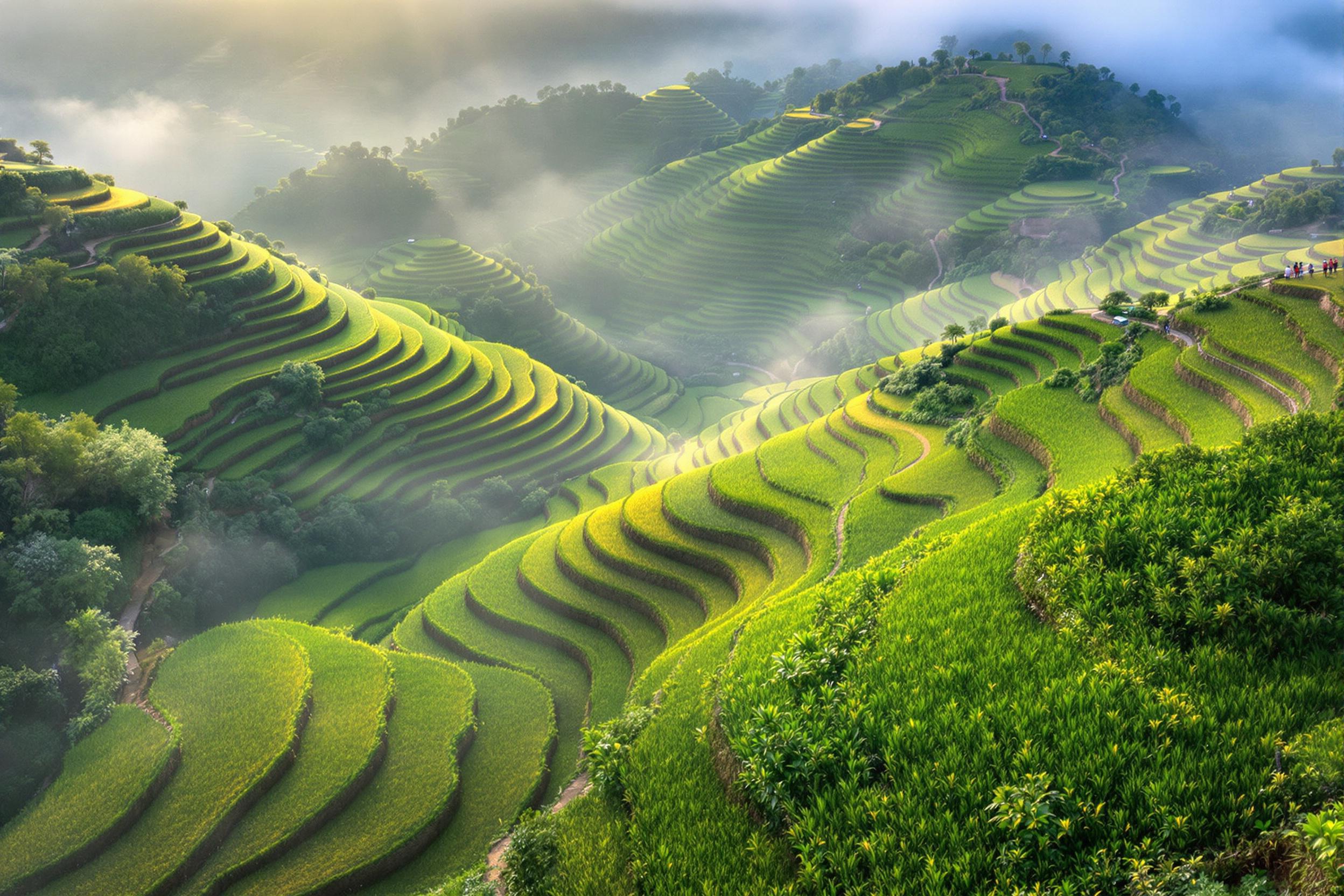 Dawn Over Terraced Rice Fields