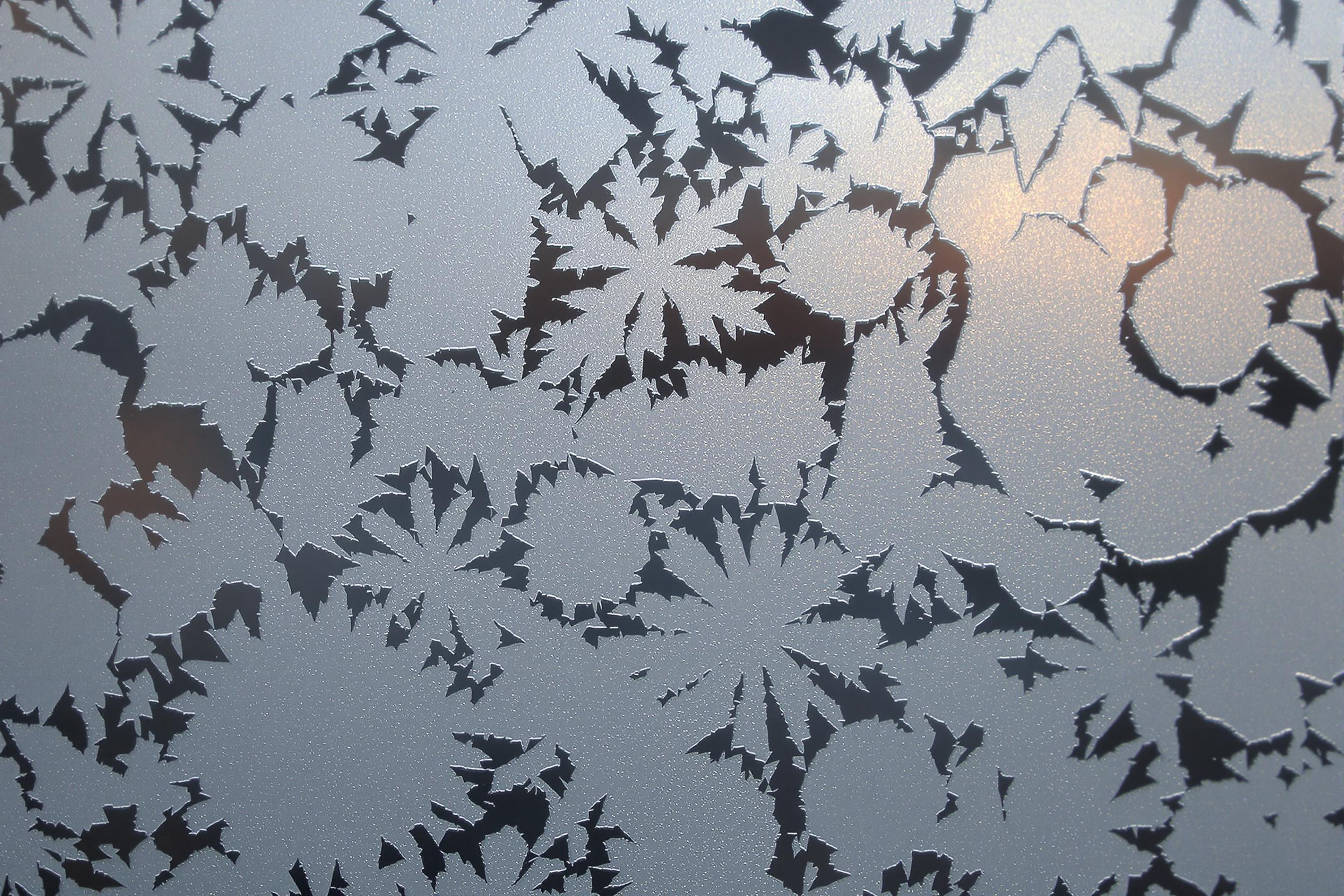 Crystalline Frost Patterns on Winter Window