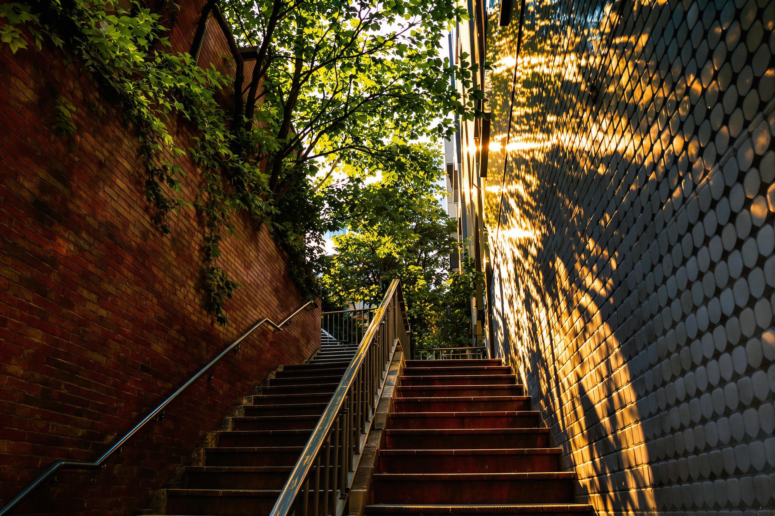 Hidden Urban Staircase in Modern Alley under Evening Glow