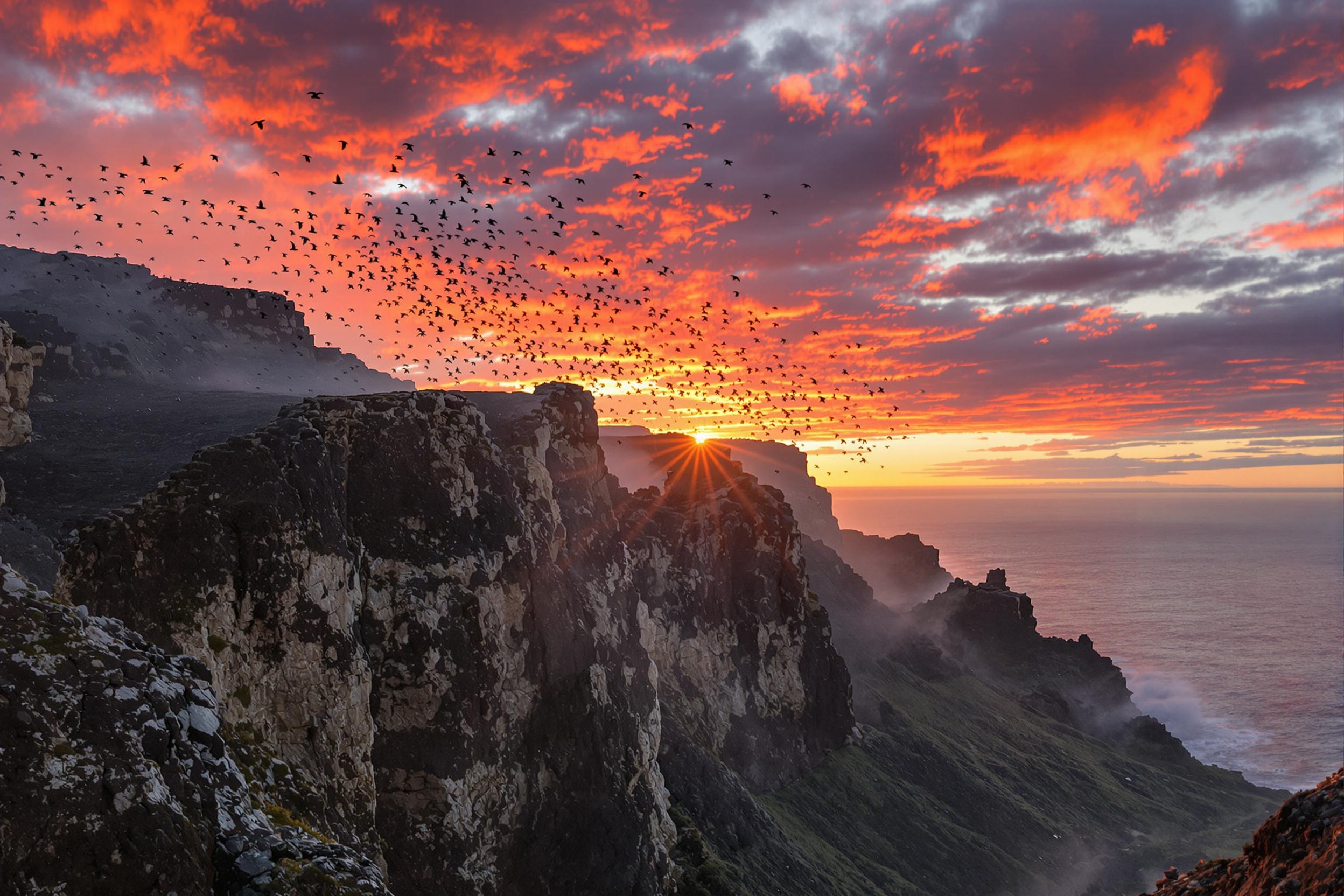 Volcanic cliffs with seabirds during a vibrant sunset