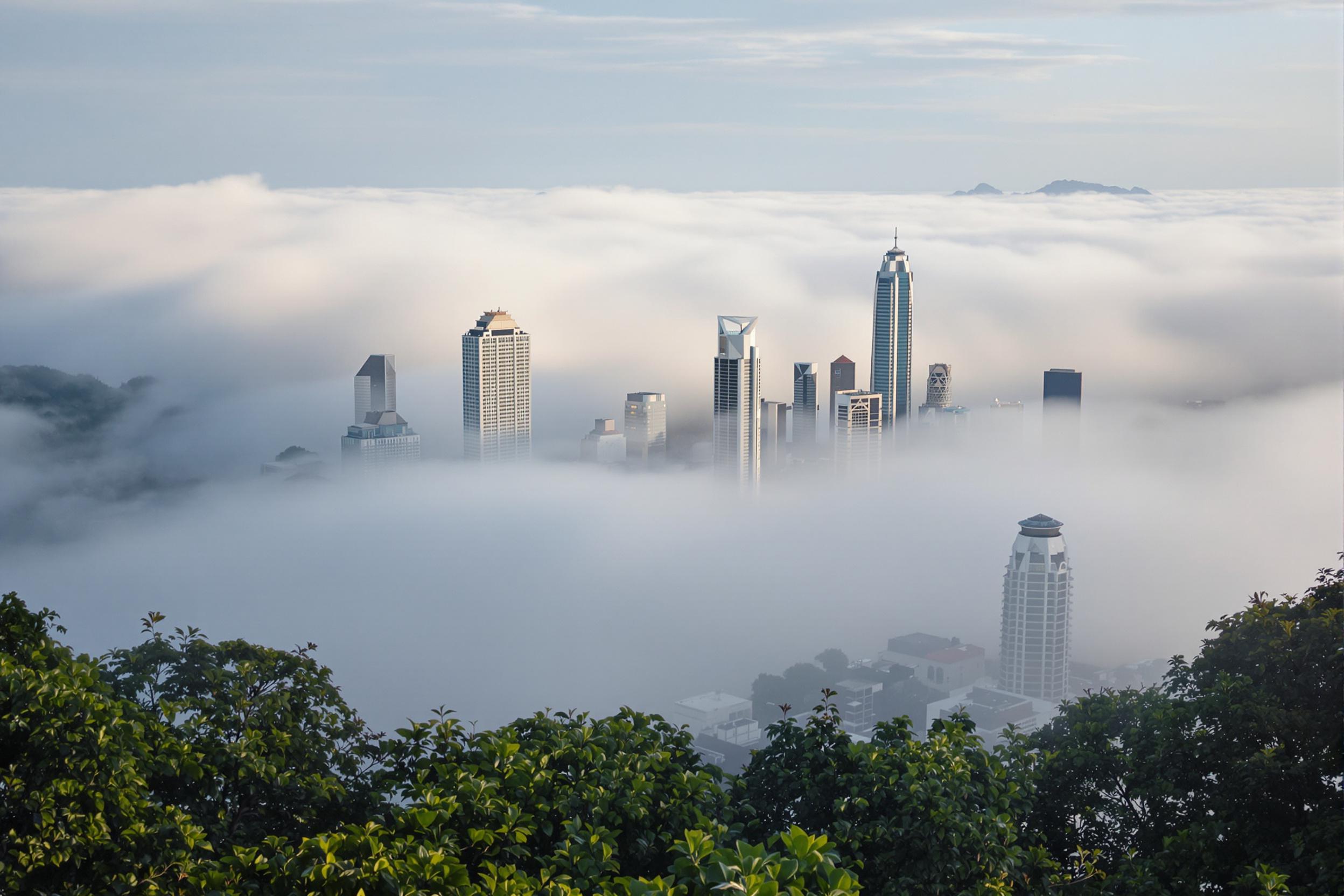 Ethereal Fog Rolling Over Urban Skyscrapers