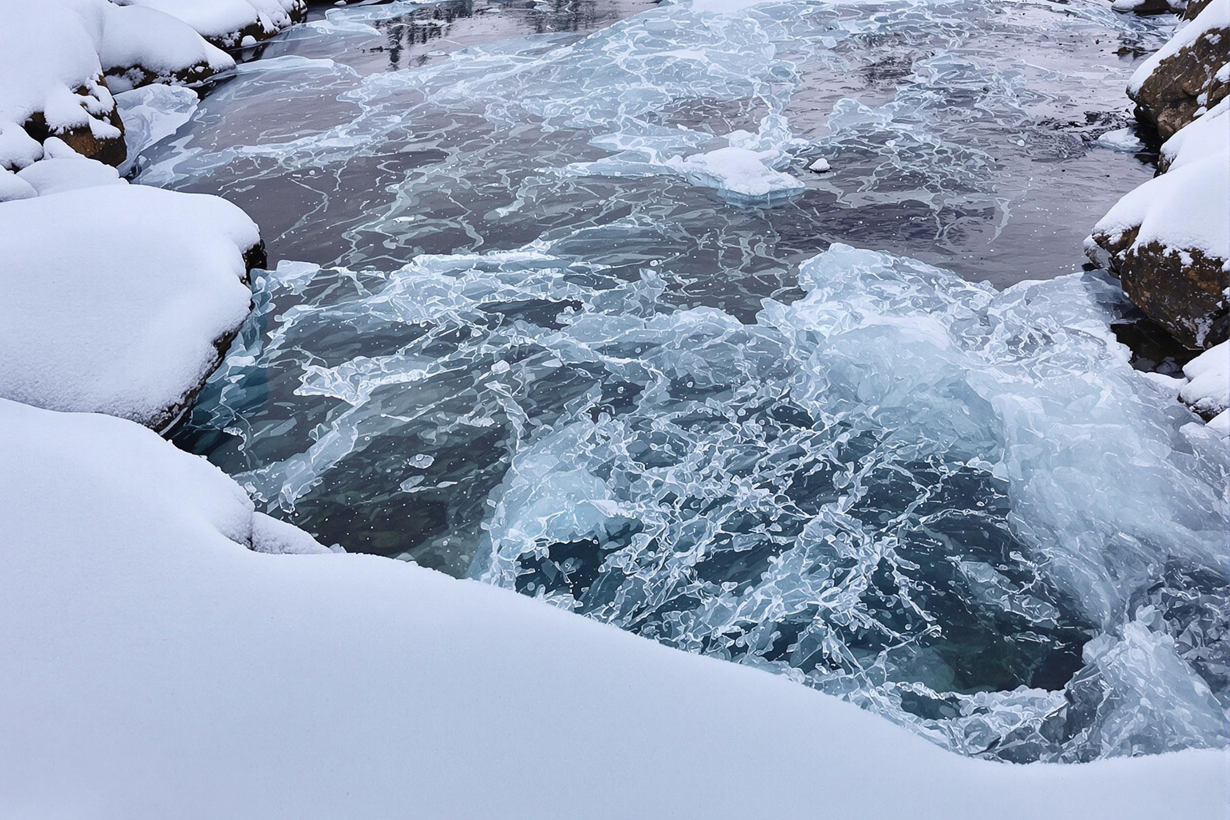 Frozen Stream Encased in Winter's Beauty